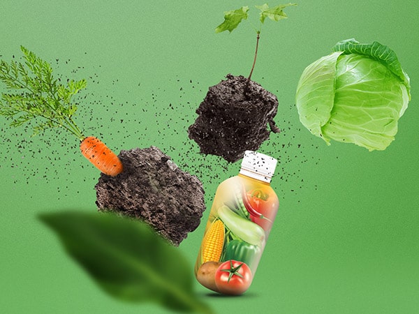 طراحی سایت اصلان هیومیک